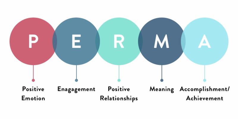 PERMA Model and Well-Being