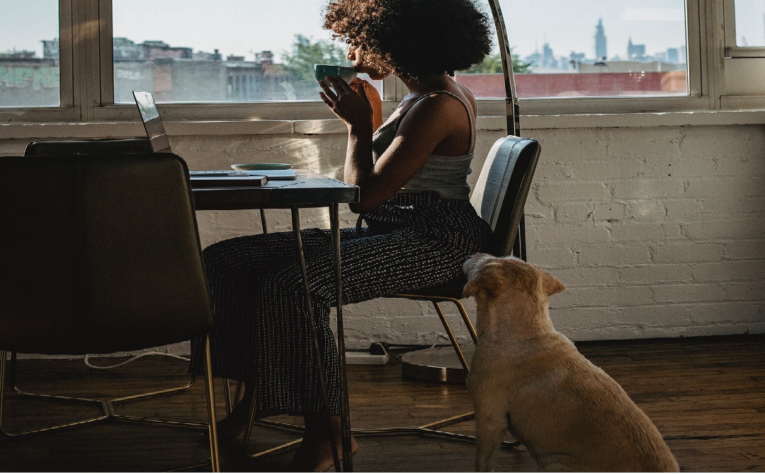 How To Create A Personal Growth Plan Types Examples And More