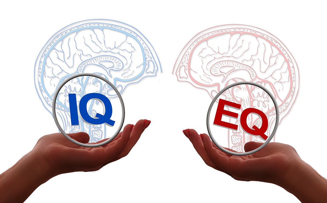 What is Emotional Intelligence or EQ Meaning & Definition