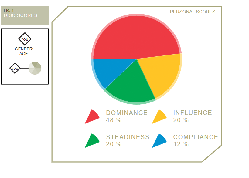 the DISC personality test results